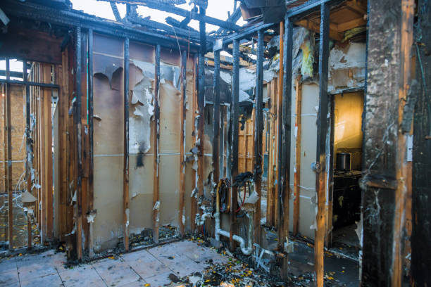 Professional Fire Damage Removal technician working in Osseo, MN