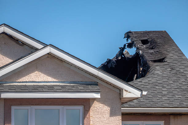 Top rated local Fire Damage Removal specialists in Osseo, MN